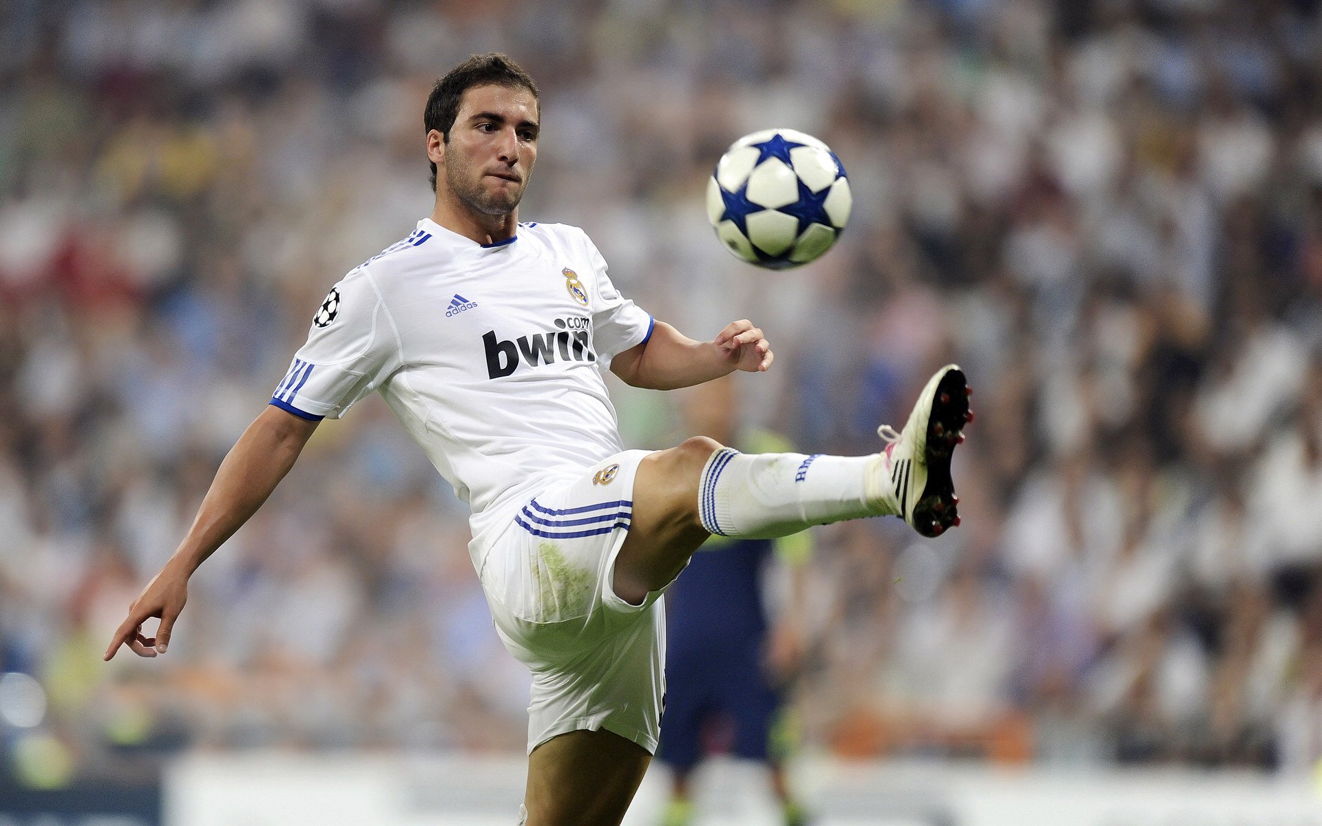 冰岛队在欧预赛中大胜一场，晋级前景一片光明，冰岛队没进欧洲杯